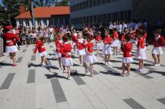 Mini IMG 5517